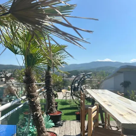 Apartman 206 *